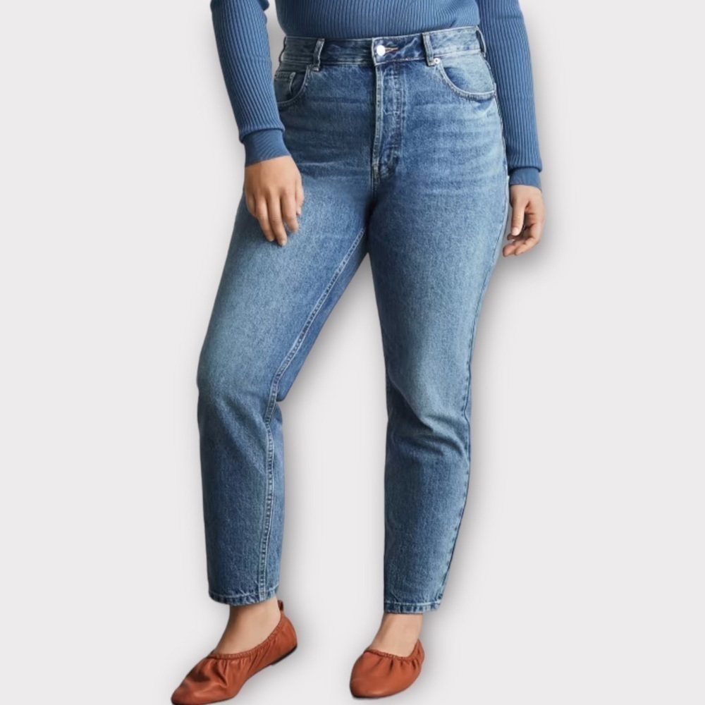 Everlane The Curvy 90's Cheeky Straight Rigid Crop Jean Medium Wash NWT